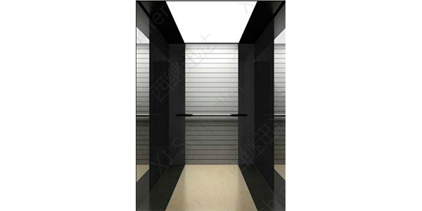 Лифт XJ Schindler XJ-6